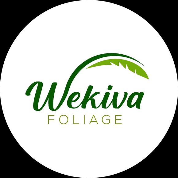 wekivafoliage